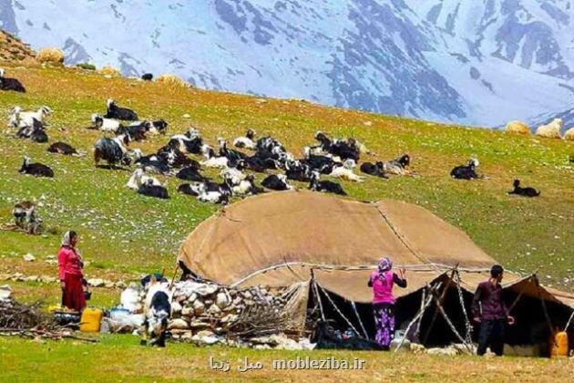 عشایر بروجرد سالانه ۱۵۰۰ تن فرآورده گوشتی تولید می کنند